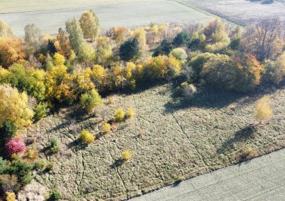 działka na sprzedaż - Sulejów (gw), Koło