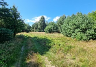 działka na sprzedaż - Łęki Szlacheckie, Kuźnica Żerechowska